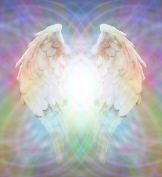 Angel Wings on multicolored matrix web